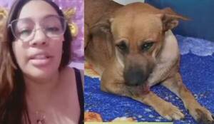 Habló dueña “Canela”: “Fue solo un accidente”, le bajó