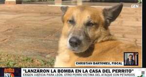 La Nación / Muerte de can por explosión: se debe determinar si hubo intención, dijo fiscal