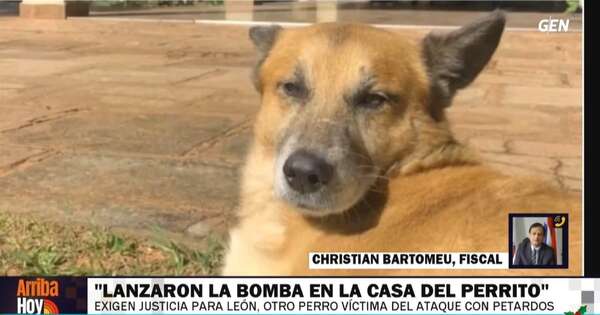 La Nación / Muerte de can por explosión: se debe determinar si hubo intención, dijo fiscal