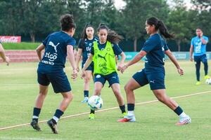 Preparación sin pausas en el CARFEM