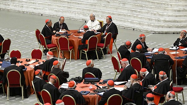 Papa consulta a cardenales sobre el futuro de la Iglesia