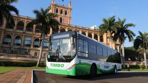 Lo que tenés que saber: Ley de transporte, edad de jubilación parlamentaria y picadura de rayas