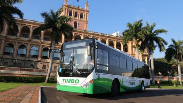 Lo que tenés que saber: Ley de transporte, edad de jubilación parlamentaria y picadura de rayas