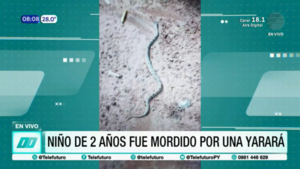 Niño de 2 años hospitalizado tras mordedura de yarará en Amambay