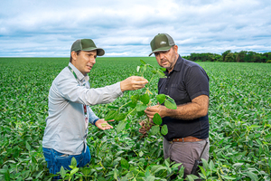 Optimismo para la zafriña: soja y maíz apuntan a altos rindes y mayor volumen