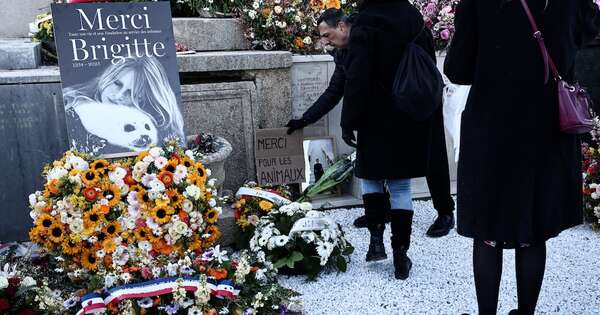 La Nación / El cáncer apagó la vida de Brigitte Bardot, reveló su marido