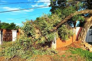 En la Municipalidad de Luque se ríen de los ciudadanos •