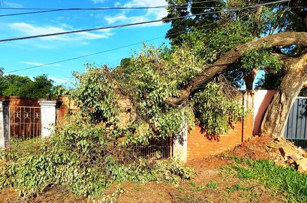 En la Municipalidad de Luque se ríen de los ciudadanos •
