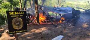 SENAD inicia operativos contra cultivos ilícitos en el departamento de Concepción