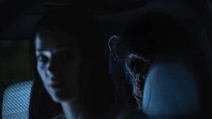 Estrenos en cines: terror animal, comedia argentina y drama en Japón en las salas - Cine y TV - ABC Color