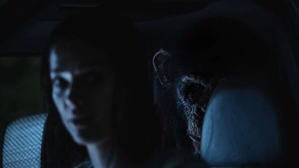 Estrenos en cines: terror animal, comedia argentina y drama en Japón en las salas - Cine y TV - ABC Color