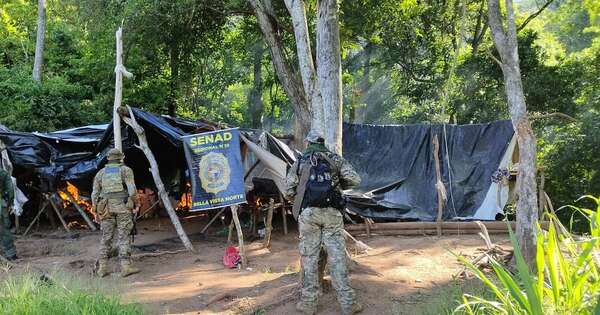 La Nación / Senad elimina 15 toneladas de droga en Bella Vista Norte