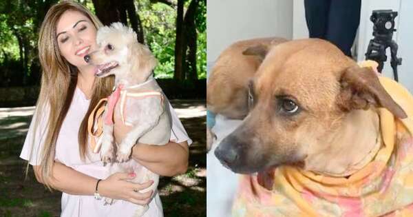 La Nación / “Responsables de Canela sí deben de estar imputados”, sentenció ONG de una exmodelo