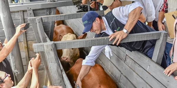 UPISA y Cooperativa Colonias Unidas consiguen que sus ganados sean declarados libres de aftosa