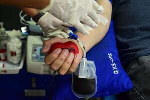 Urgen convocatoria de donantes de sangre: estas son las excepciones - Nacionales - ABC Color