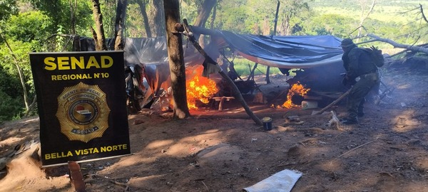 SENAD abre operativos contra cultivos ilícitos en el norte del país