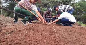 La Nación / Escuela agrícola de Ybycuí ofrece bachillerato técnico agropecuario con opción de internado