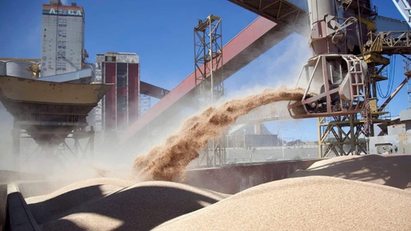 La industria procesó 23,3% más de soja al cierre de 2025
