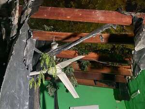 Roberto L. Petit: caída de ramas por fuertes vientos deja daños materiales - Nacionales - ABC Color