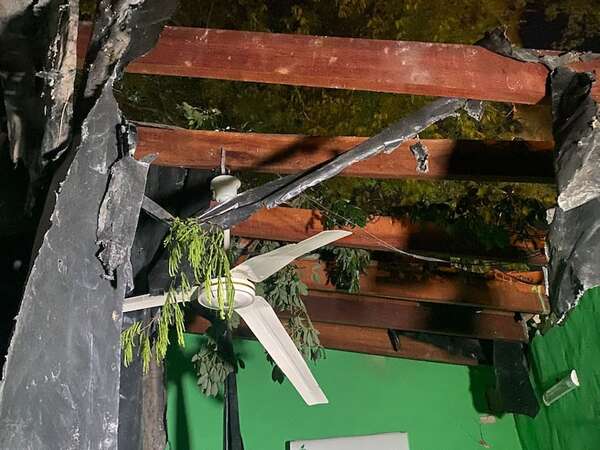 Roberto L. Petit: caída de ramas por fuertes vientos deja daños materiales - Nacionales - ABC Color