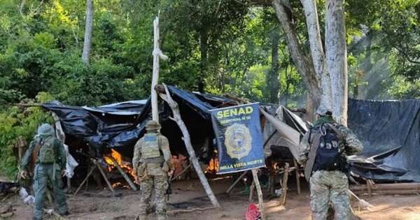 La Nación / Eliminan 15 toneladas de droga en Bella Vista Norte