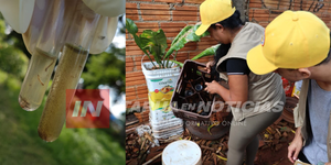 SENEPA DESPLIEGA OPERATIVO ESTIVAL CONTRA EL DENGUE EN ITAPÚA