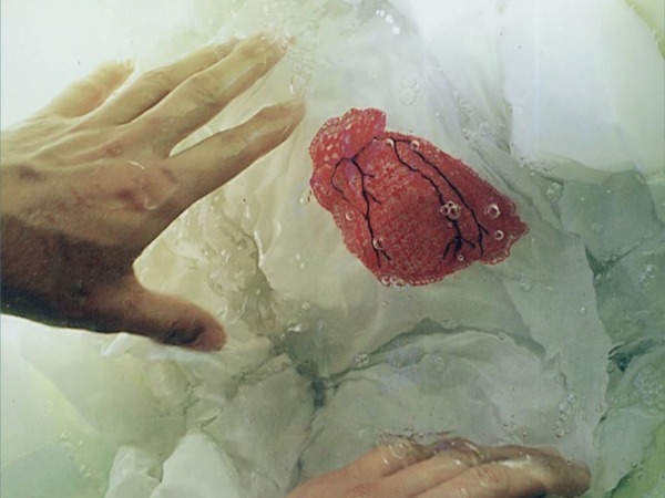 "El agua que revela": Se inaugura muestra de Joaquín Sánchez en Tranvía 13