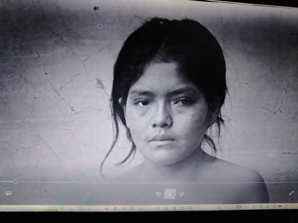 El retorno del armadillo - El Trueno