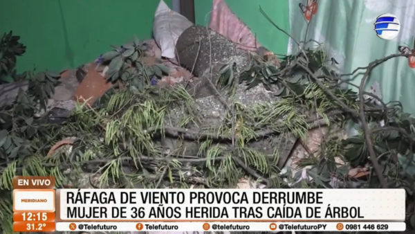 Ráfaga de viento derriba un árbol sobre una vivienda