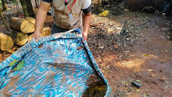 Dengue: Hay incremento de notificaciones sospechosas, pero pocos casos confirmados