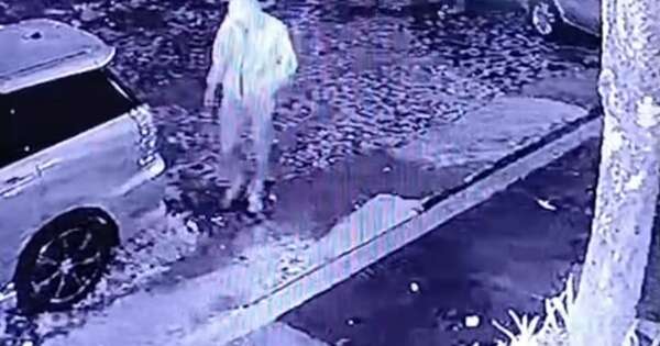 La Nación / En violento asalto domiciliario llevan dos cajas de celulares, en el Este