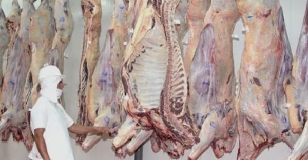 Santiago Peña: «Quiero que la gente coma carne paraguaya» - Concepción al Día