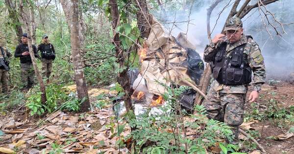 La Nación / Fiscalía sigue sin imputar a supuestos responsables por cargamento de marihuana