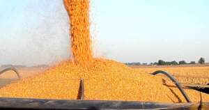 La Nación / La actividad económica continuó su expansión con dinamismo positivo