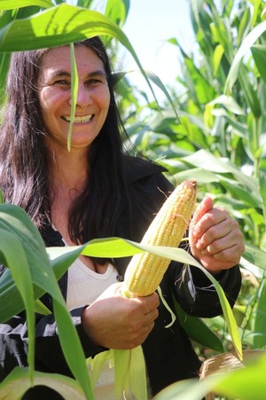 Alianza Indert-UGP potencia la producción de maíz rural