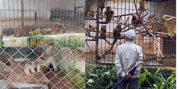 ZOOLÓGICO JUAN XXIII SE CONSOLIDA COMO ATRACTIVA OPCIÓN TURÍSTICA EN ENCARNACIÓN