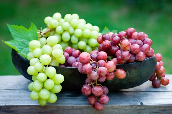 Cinco nutrientes con respaldo científico que podrían ralentizar el envejecimiento - ADN Digital