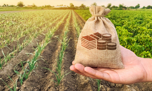 Agricultura movió créditos por más de US$ 4.400 millones y un banco se destaca