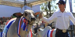 PEÑA AFIRMA QUE ACUERDO MERCOSUR–UE BENEFICIARÁ AL SECTOR PRODUCTIVO