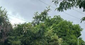 La Nación / Reportan feminicidio y posterior suicidio en un motel de Fernando de la Mora