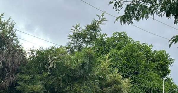 La Nación / Reportan feminicidio y posterior suicidio en un motel de Fernando de la Mora