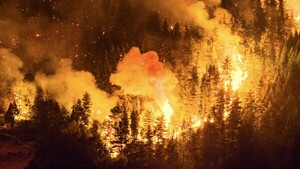 Principal incendio forestal en Patagonia argentina fuera de control afecta 5.500 hectáreas