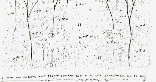 La Nación / Ybyrayús de barrio. Frescos de verano