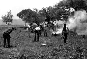 Esto sucedió  - ABC Revista - ABC Color