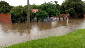 Desborde de arroyo, ganado muerto y familias anegadas tras temporal