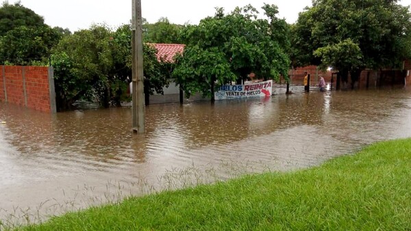 Desborde de arroyo, ganado muerto y familias anegadas tras temporal