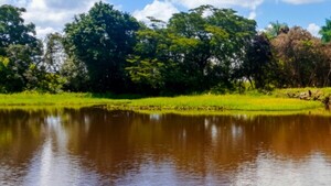 Voluntarios le devuelven la vida a un histórico tajamar de Quyquyhó