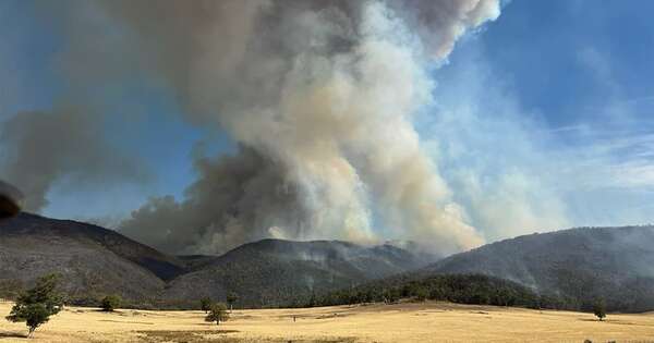 La Nación / Australia: incendios forestales arrasan más de 300 edificios