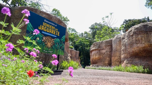 Sendero del Jaguarete, un nuevo atractivo se convierte en parada obligatoria de turistas