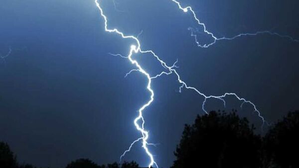 Un rayo mata a 19 vacas durante temporal en el Guairá